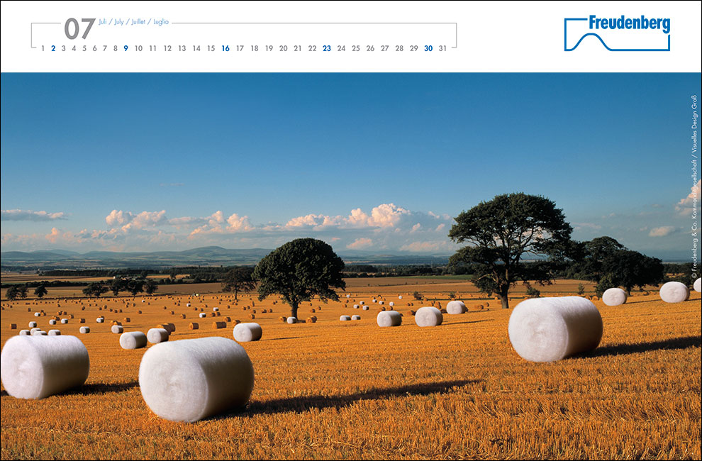 Project Example